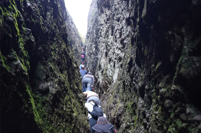 1763300177239868.jpg DSC08783_看图王1.jpg